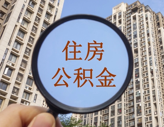 石河子退休后查不到公积金明细了吗（退休后公积金查询不到原因）